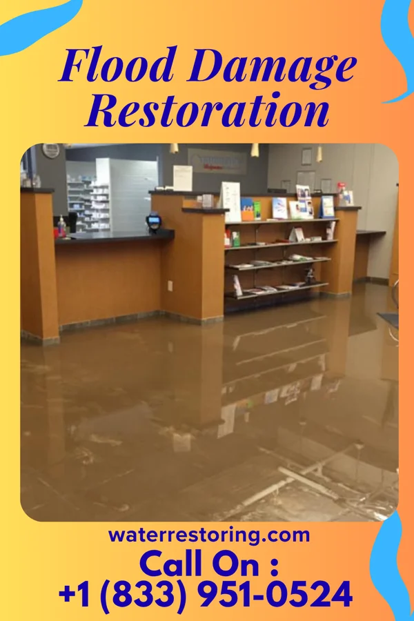 Flood Damage Restoration in Williamston, SC